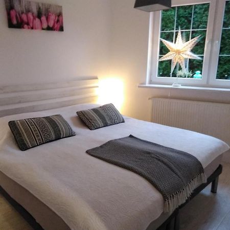 Mizerowka Guest House Kudowa-Zdrój Kültér fotó