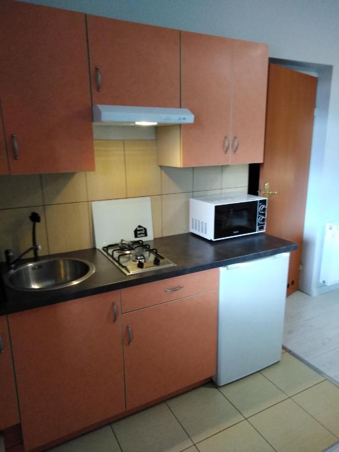 Mizerowka Guest House Kudowa-Zdrój Kültér fotó